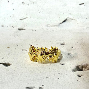 Anillo tres soles