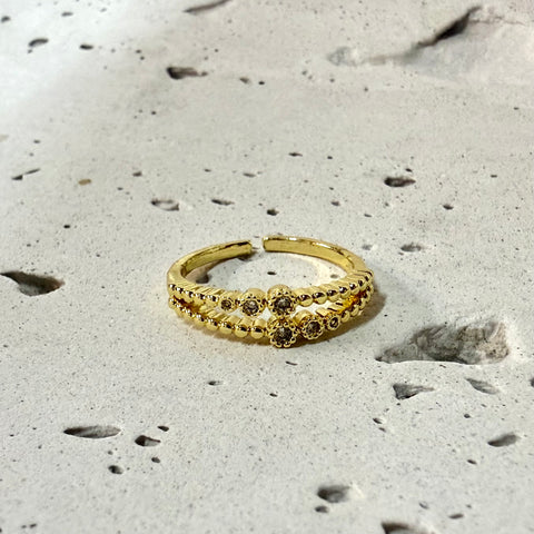 Anillo Palestin