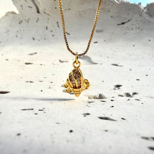 Cadena Caracola mar
