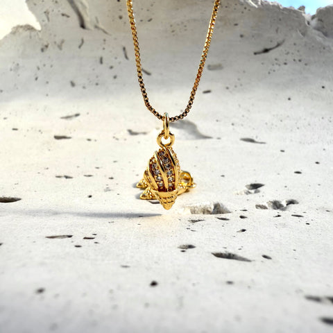 Cadena Caracola mar